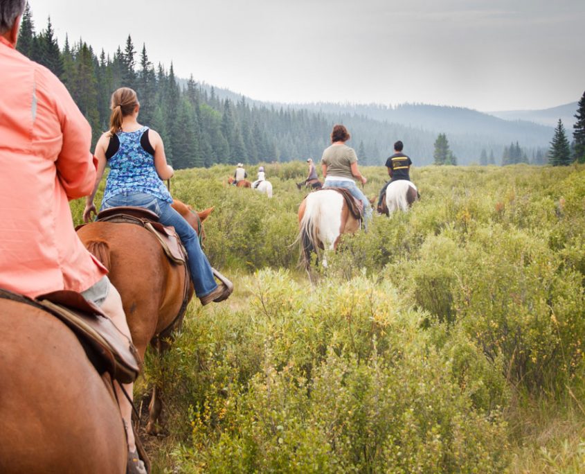 Sunset Guiding & Outfitting Trail Rides